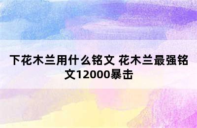 下花木兰用什么铭文 花木兰最强铭文12000暴击